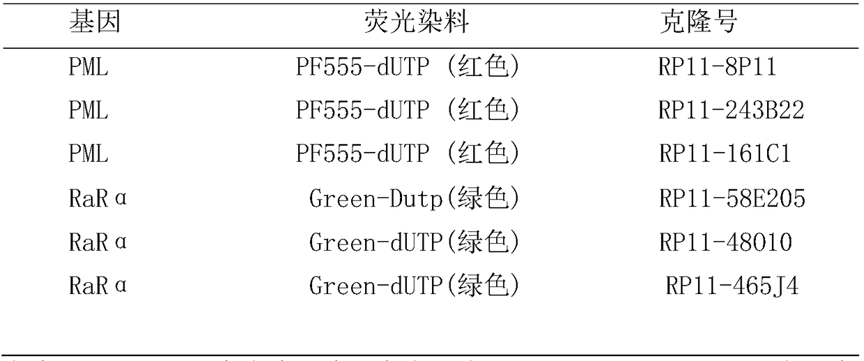 Gene probe composition for detecting acute promyelocytic leukemia, kit and application