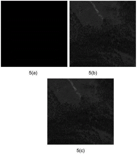 Satellite remote sensing image processing method based on visual fidelity