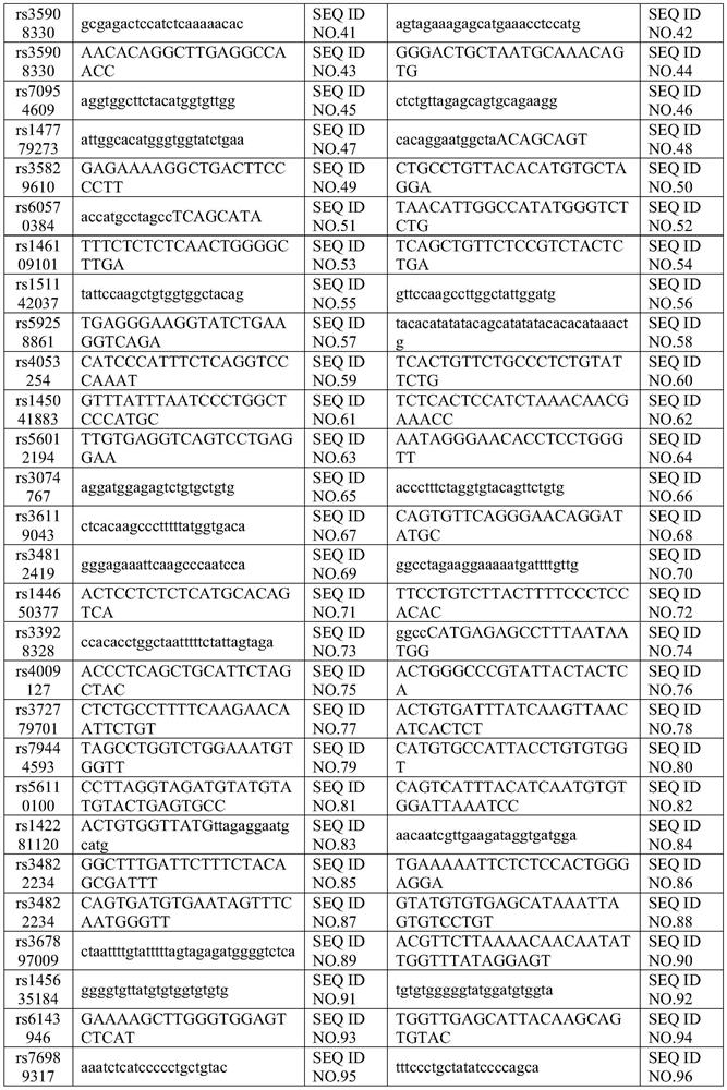 Application of human chromosome InDel gene locus, primer group and product thereof, and individual identification method of detected material
