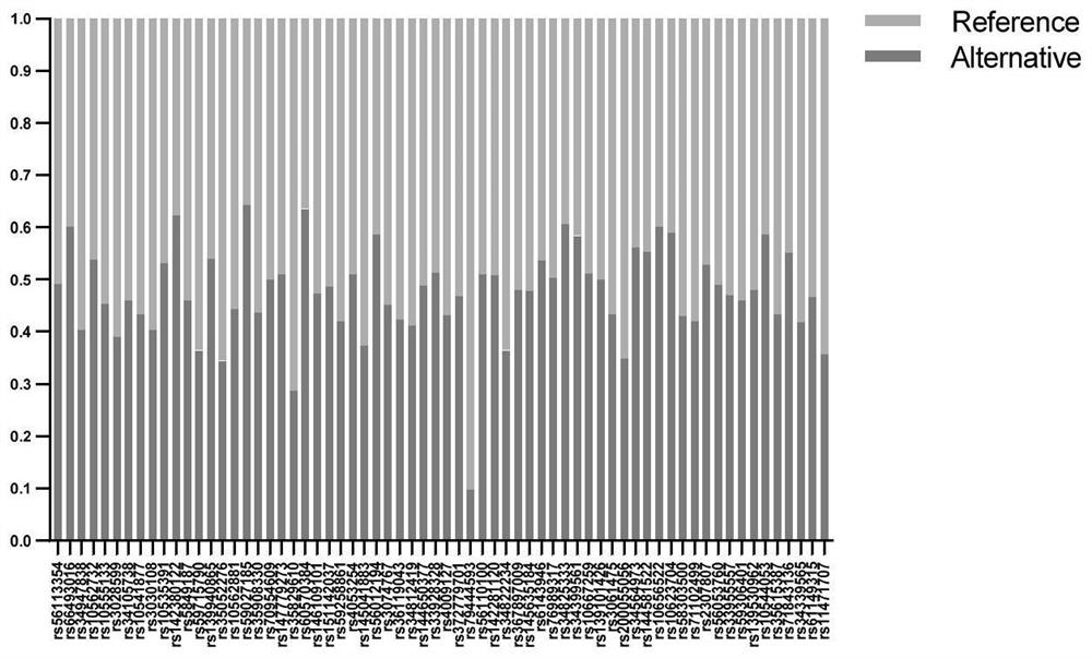 Application of human chromosome InDel gene locus, primer group and product thereof, and individual identification method of detected material