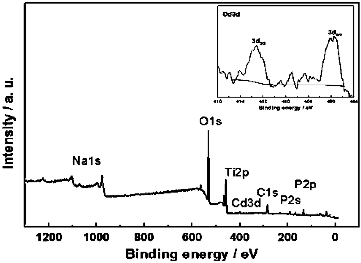 Biosensor for electrochemically detecting phosphorylated beta-amyloid protein and construction method thereof