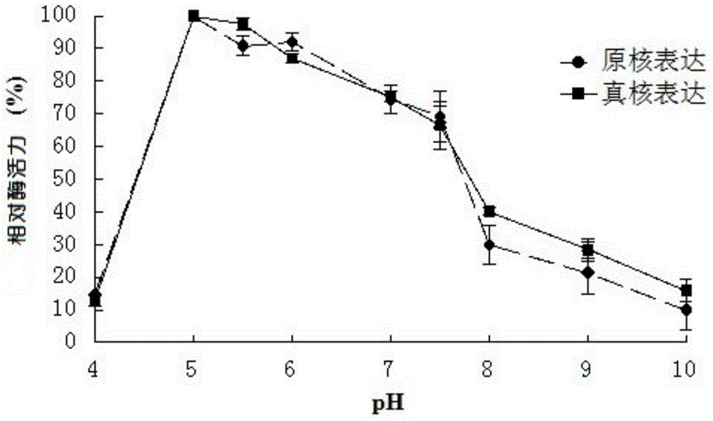 Optimized extremely-thermostable xylanase XYNH coding gene and application thereof