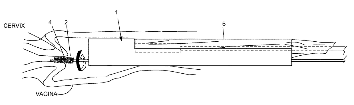 Device and method for conducting a pap smear test