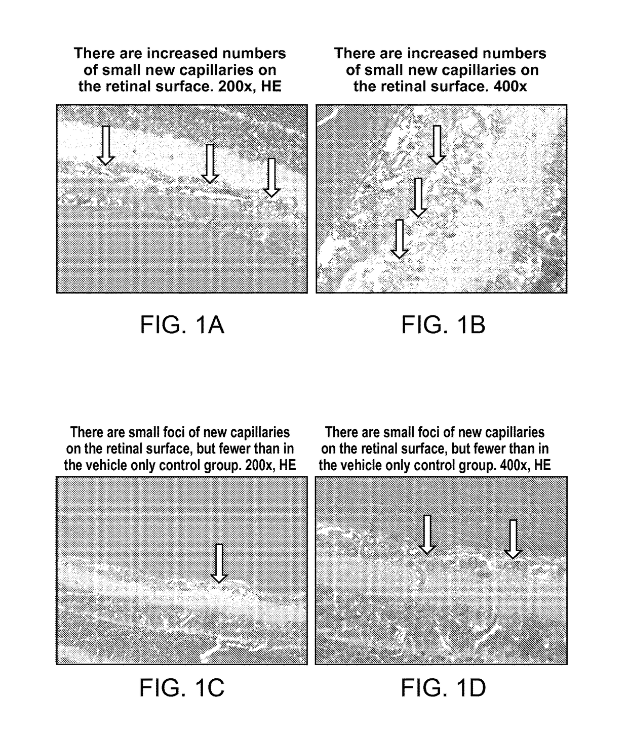 Ophthalmic compositions of rifamycins and uses thereof