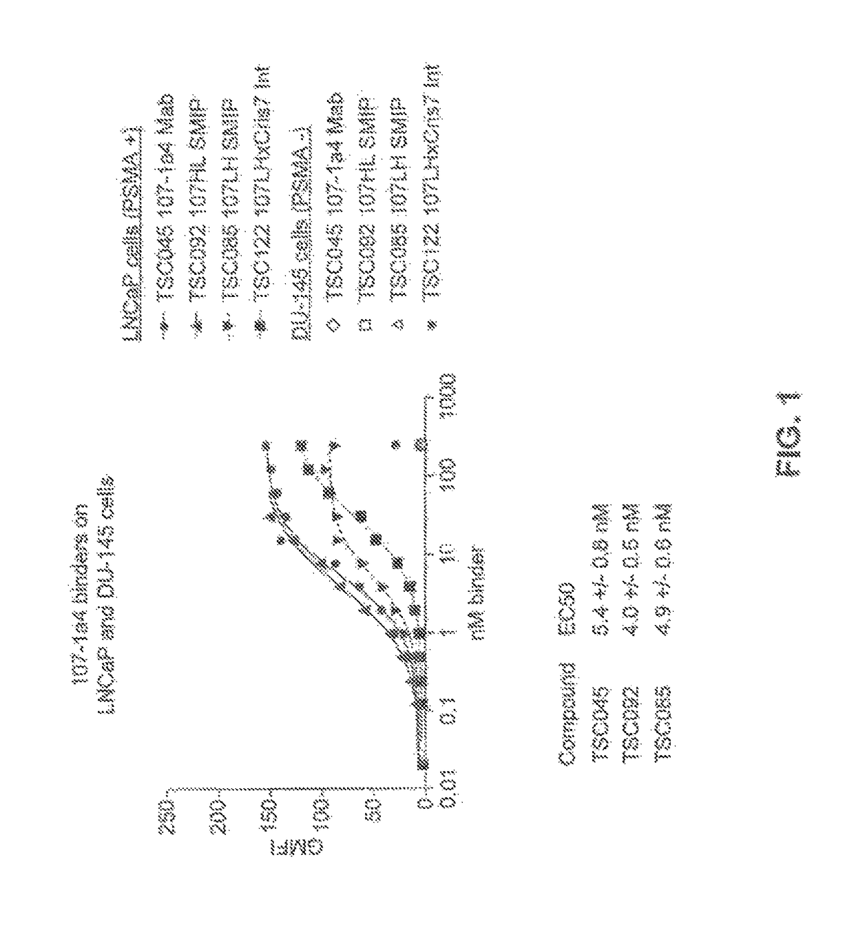 Prostate-specific membrane antigen binding proteins and related compositions and methods