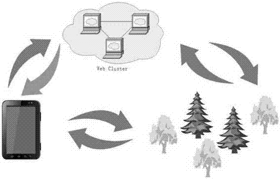 Forest subcompartment accurate measurement management work method based on cloud computation of Internet+forest measurement panel instrument terminal