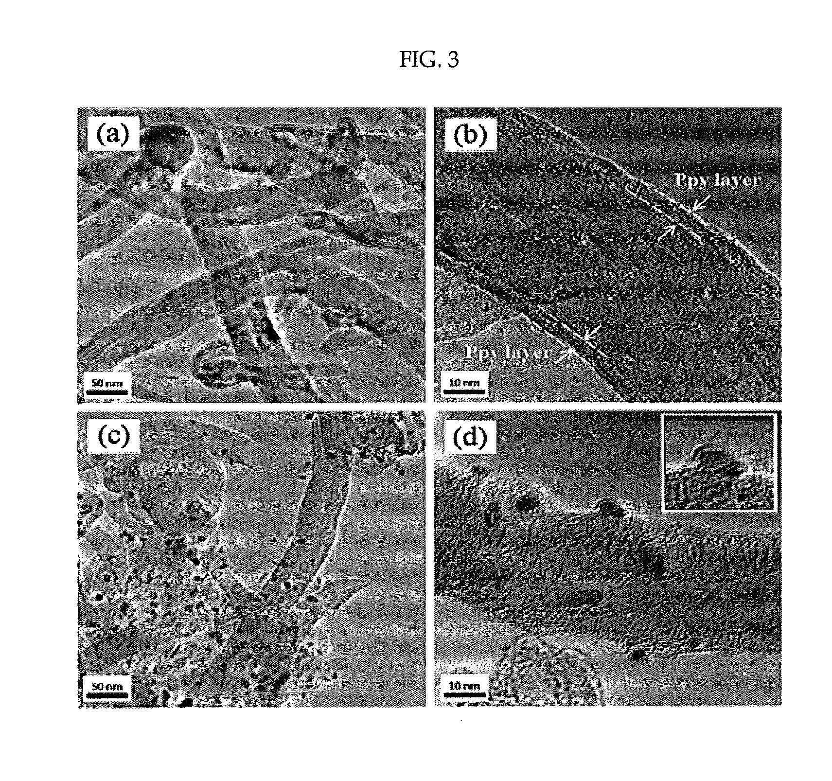Non-platinum oxygen reduction catalysts for polymer electrolyte membrane fuel cell and method for preparing the same