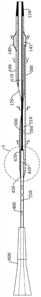 Extended guiding catheter