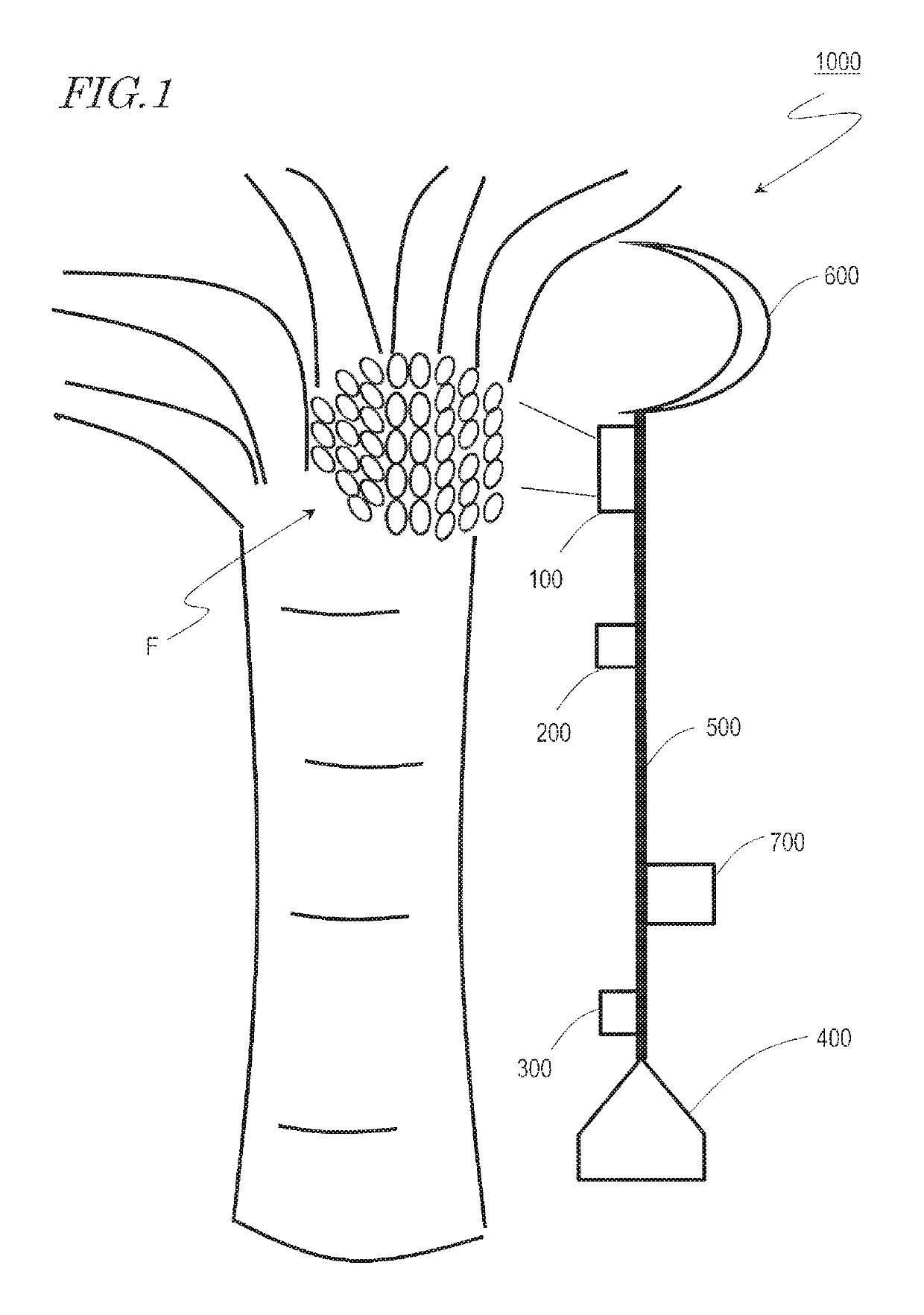 Fruit or vegetable product harvesting apparatus and fruit or vegetable product harvesting method