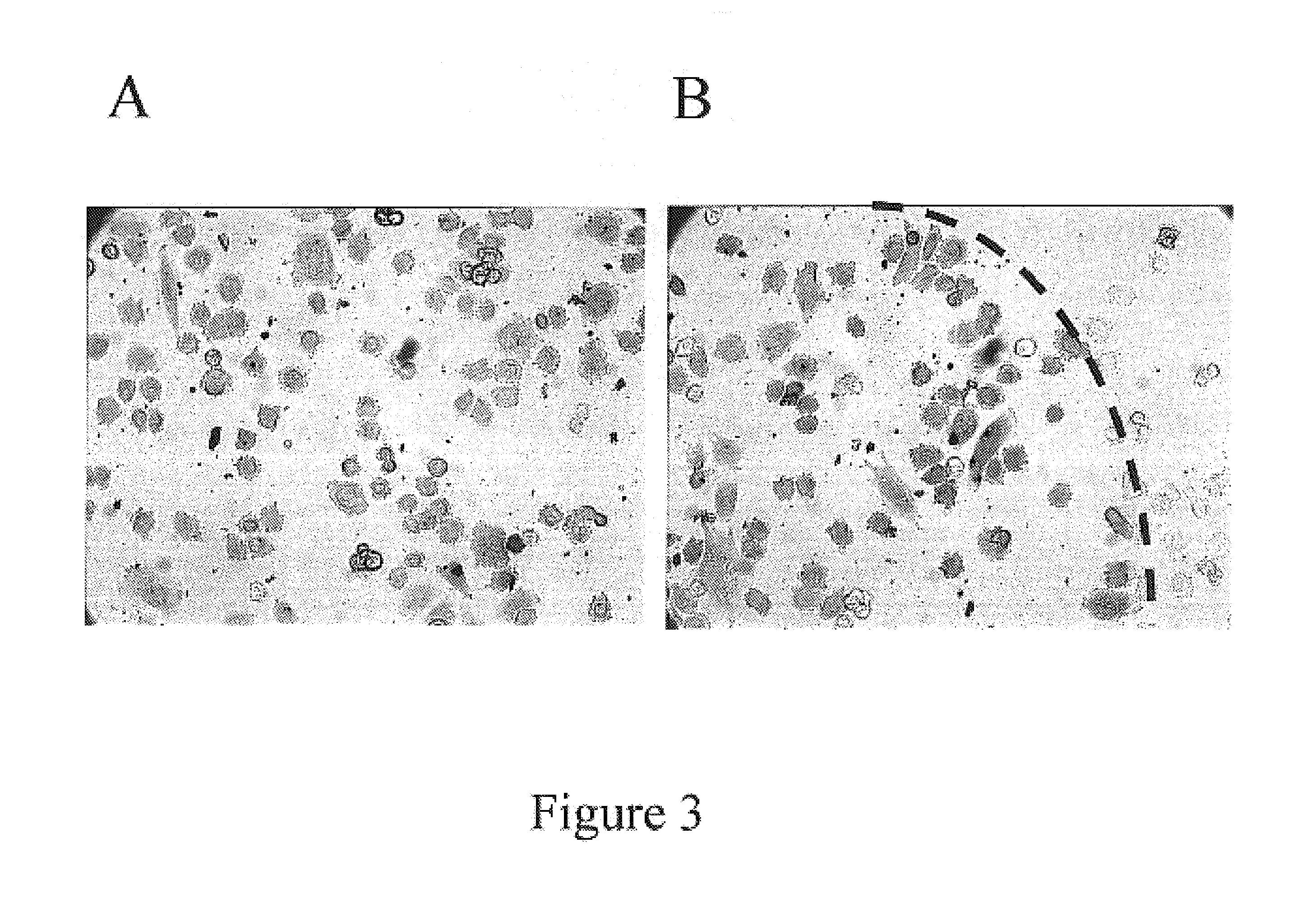 Method and device for protein delivery into cells