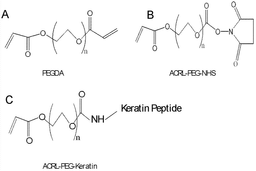 Keratin-peptide-modified polyethylene glycol hydrogel, and preparation method and application thereof