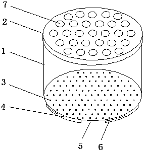 Device and method for artificially rearing pear borer worm
