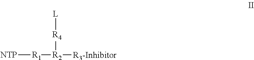 Nucleotide analogs