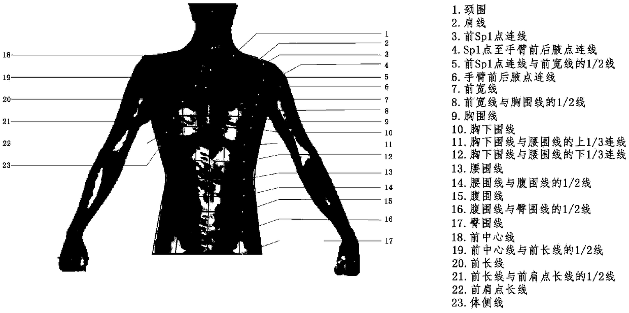 A test method for human torso skin deformation during golf full swing