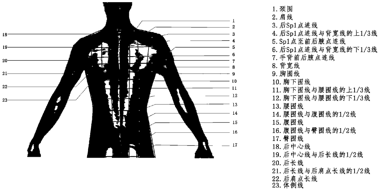 A test method for human torso skin deformation during golf full swing