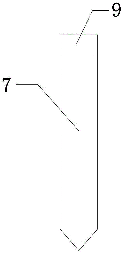 Tissue Engineering Scaffold Dynamic Mechanics Experimental Apparatus and Method