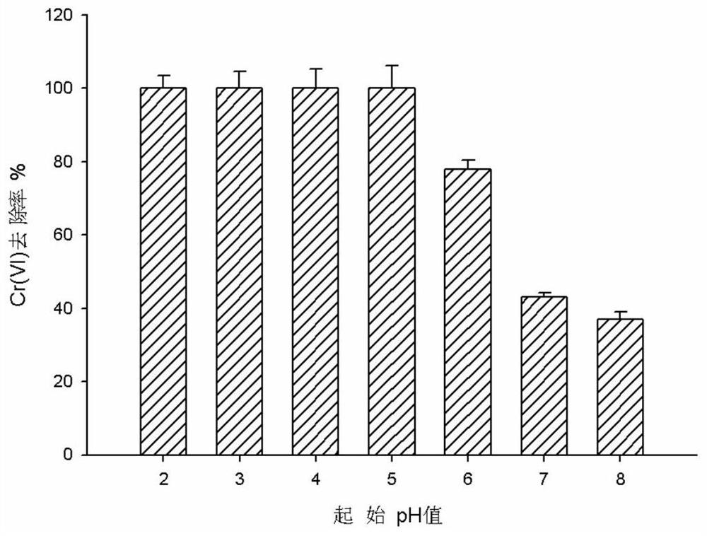 Method for removing heavy metal chromium by using dissimilatory iron-reducing bacteria to prepare bio-magnetite