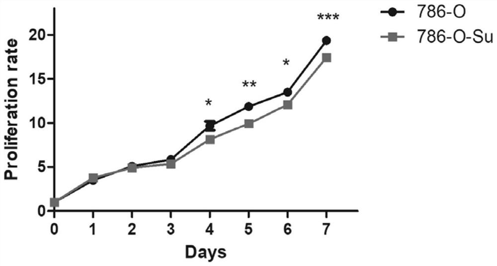 A sunitinib-resistant cell line of renal cancer, its construction method and its application