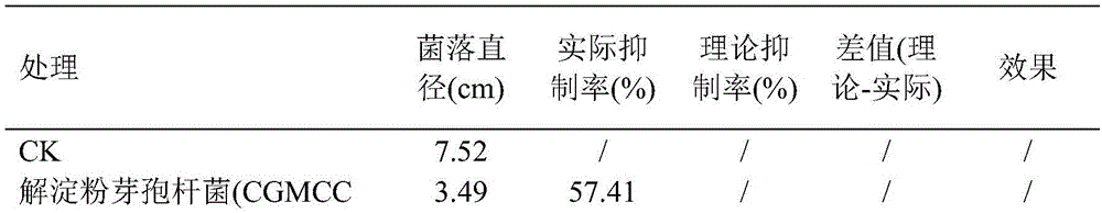 Bactericide composition containing dinitroaniline bactericides and biocontrol bacterium, preparation and application of bactericide composition and preparation