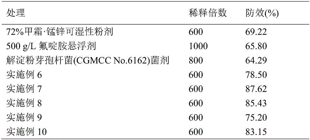 Bactericide composition containing dinitroaniline bactericides and biocontrol bacterium, preparation and application of bactericide composition and preparation