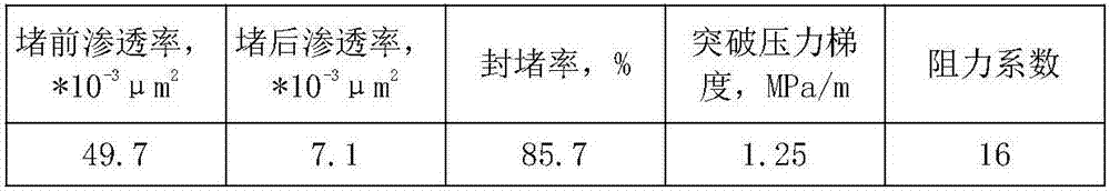 Low permeability fracture oil deposit double-segment plug-type profile modifier and using method thereof