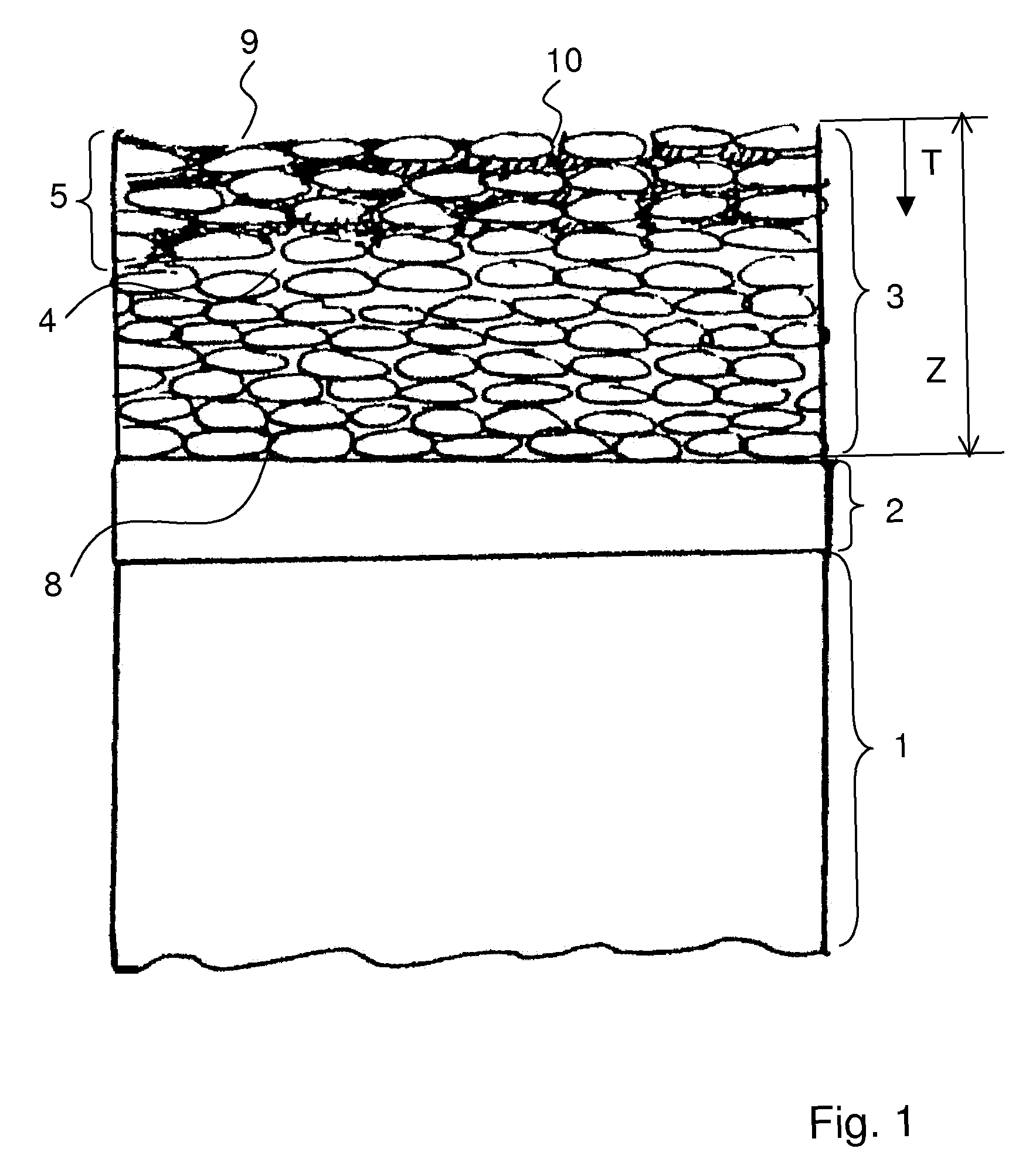 Methods for the protection of a thermal barrier coating system and methods for the renewal of such a protection
