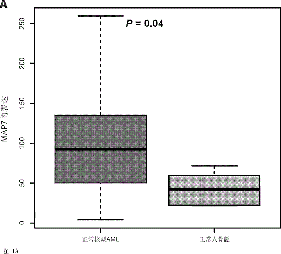 Method for detecting expression level of MAP7 in CN-AML tissue sample and application thereof