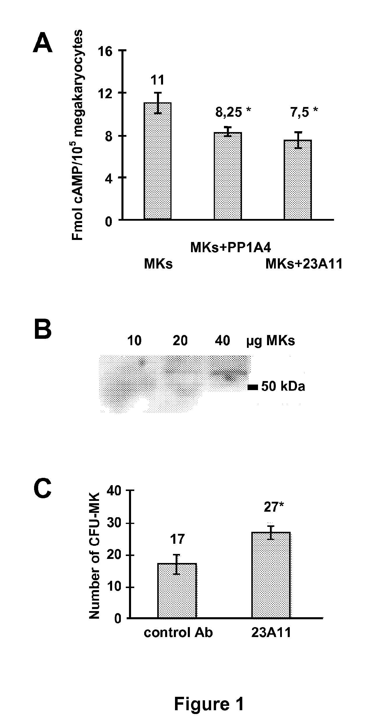 Anti-vpac1 antibodies and their uses