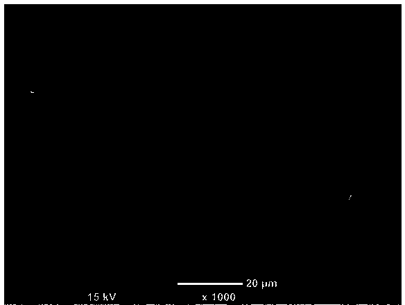 Three-dimensional porous fibrous skeleton as well as preparation method and application of three-dimensional porous fibrous skeleton