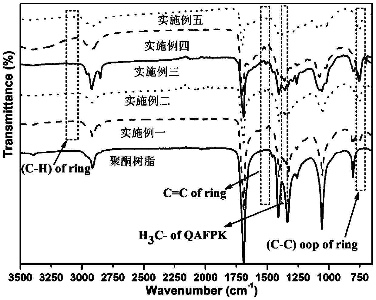 Polyketone anion exchange membrane and preparation method thereof