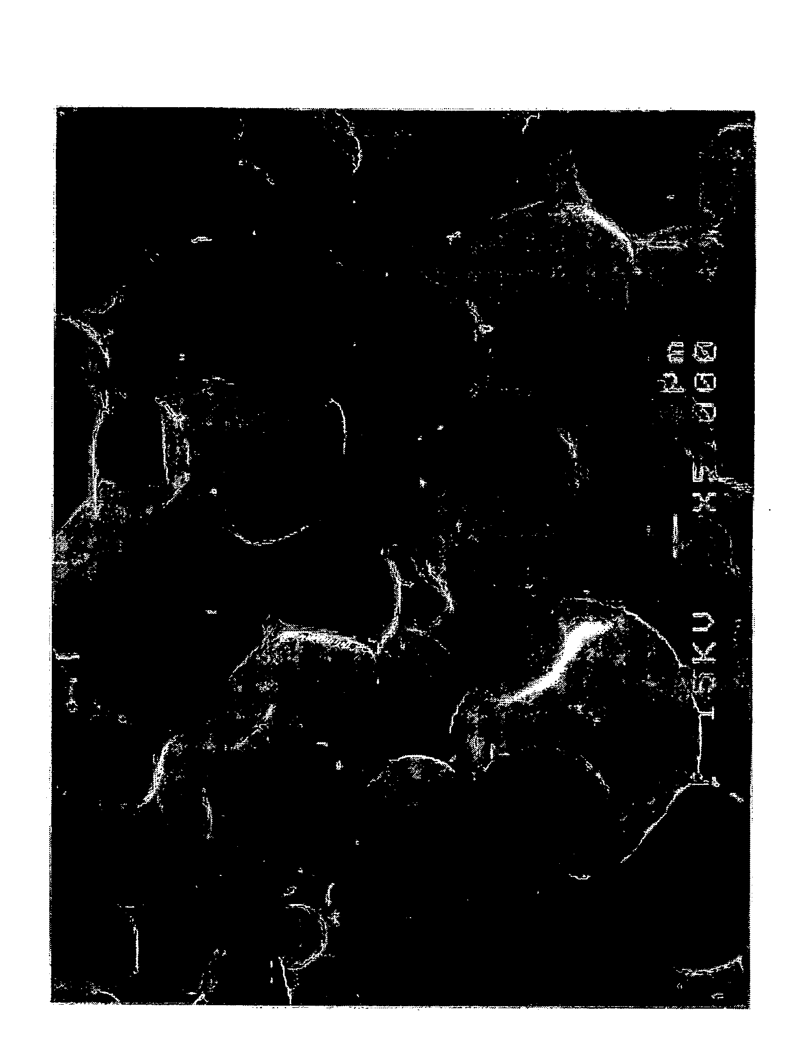 Nitride Sintered Body and Method for Manufacturing Thereof