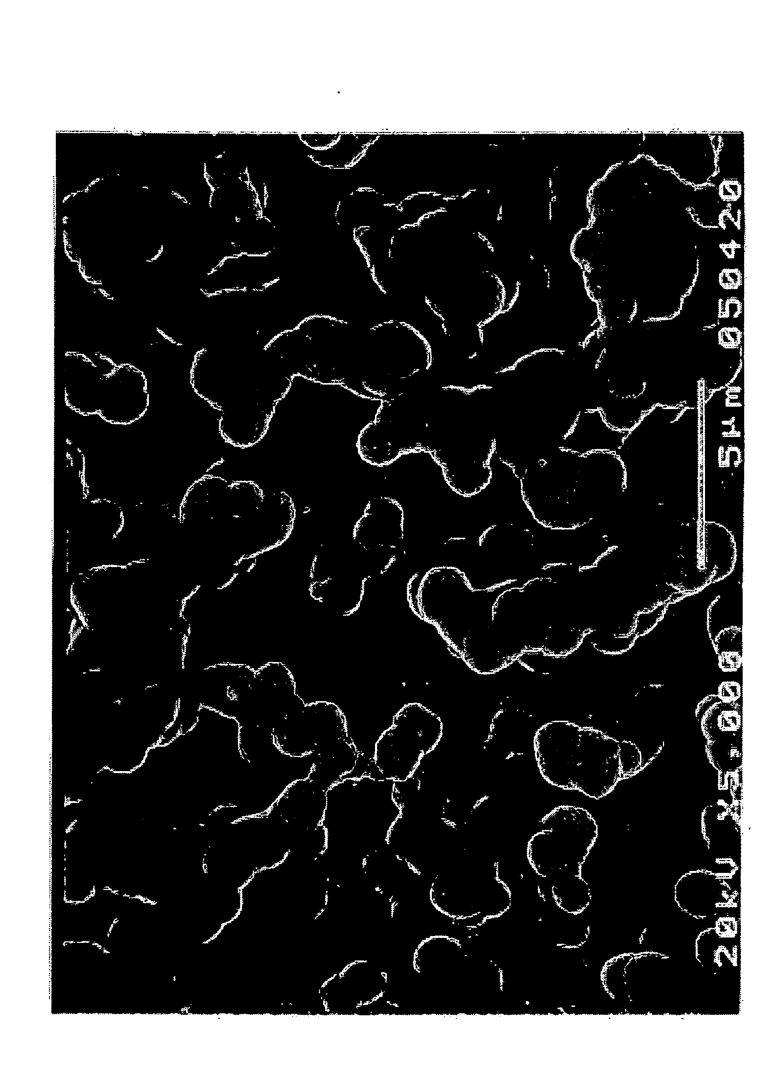 Nitride Sintered Body and Method for Manufacturing Thereof