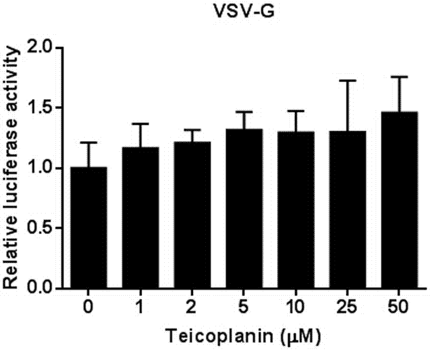 Application of teicoplanin in the preparation of anti-Middle East respiratory syndrome coronavirus drugs
