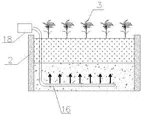 Constructed wetland heavy metal deionization purification system based on supercapacitor