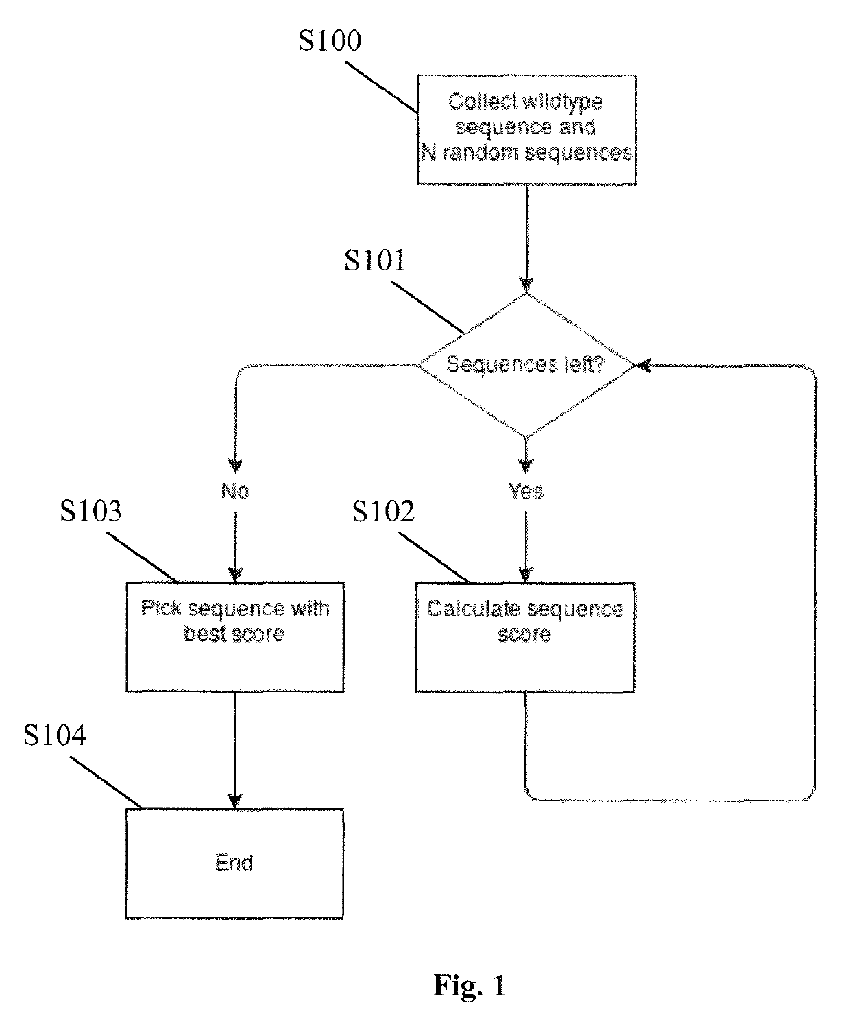 Codon optimization