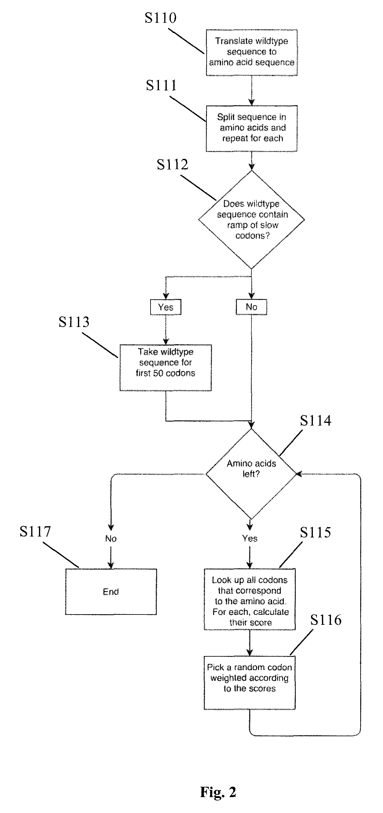 Codon optimization