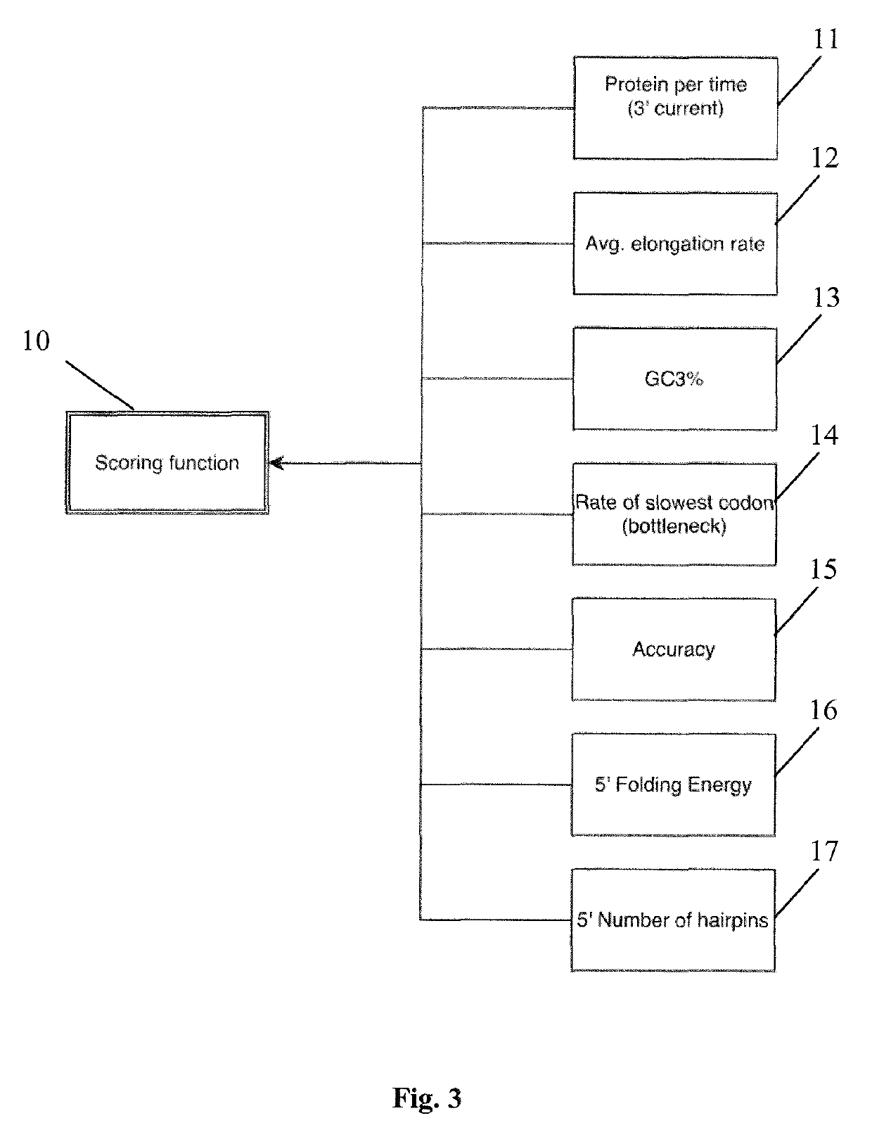 Codon optimization