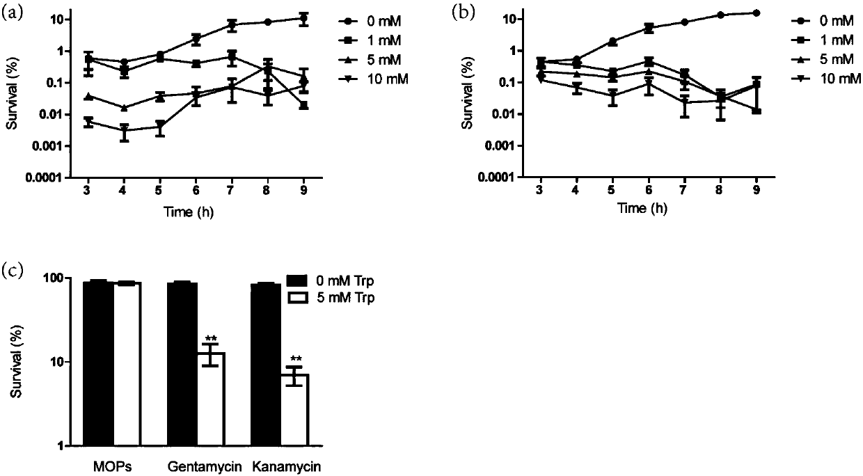 Application of tryptophan to enhancement of bactericidal effect on gram-negative bacteria