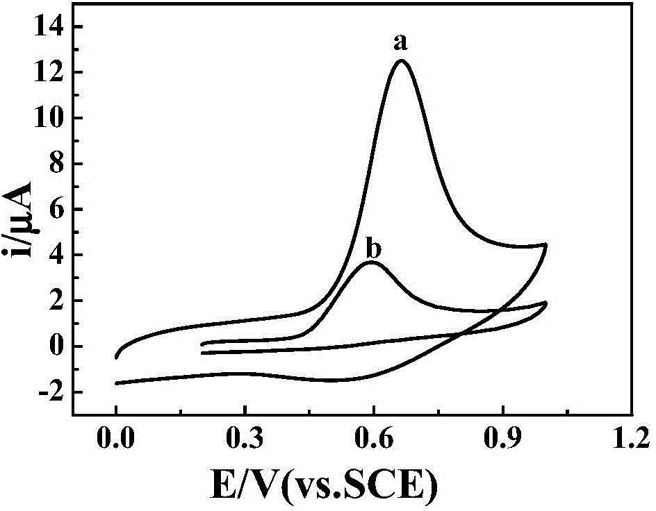 Method for measuring octyl phenol by virtue of electrochemical sensor