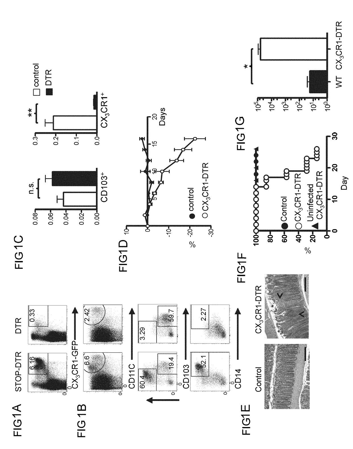 Methods of treating inflammatory bowel disease by administering tumor necrosis factor-like ligand 1A or an agonistic death-domain receptor 3 antibody