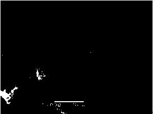 A method for preparing nickel-cobalt oxygen and sulfur compound composite film electrodes