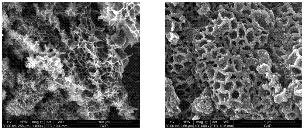 Macroporous carbonized nickel catalyst, and preparation method and application thereof