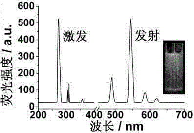 Preparation method and application of fluorescent sensor for detecting microRNA