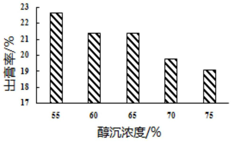 Preparation technology of Rumex chalepensis Mill. extract, and application of Rumex chalepensis Mill. extract to tumor cells