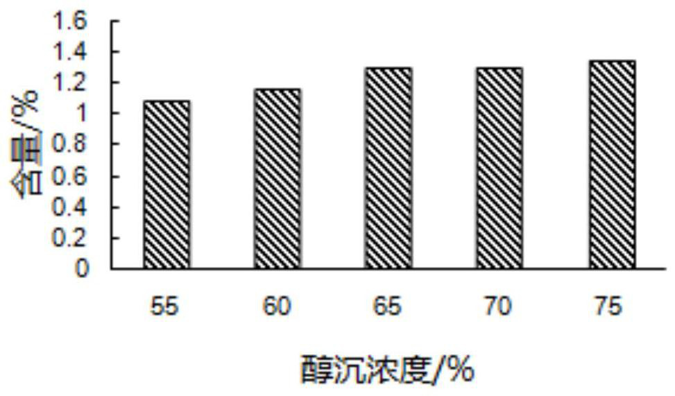 Preparation technology of Rumex chalepensis Mill. extract, and application of Rumex chalepensis Mill. extract to tumor cells