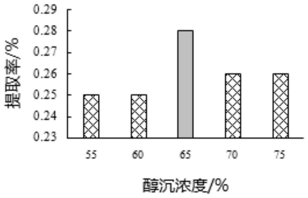 Preparation technology of Rumex chalepensis Mill. extract, and application of Rumex chalepensis Mill. extract to tumor cells