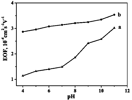 Preparation method of Fe3O4@Au-BSA magnetic nano-compound and chiral separation use thereof