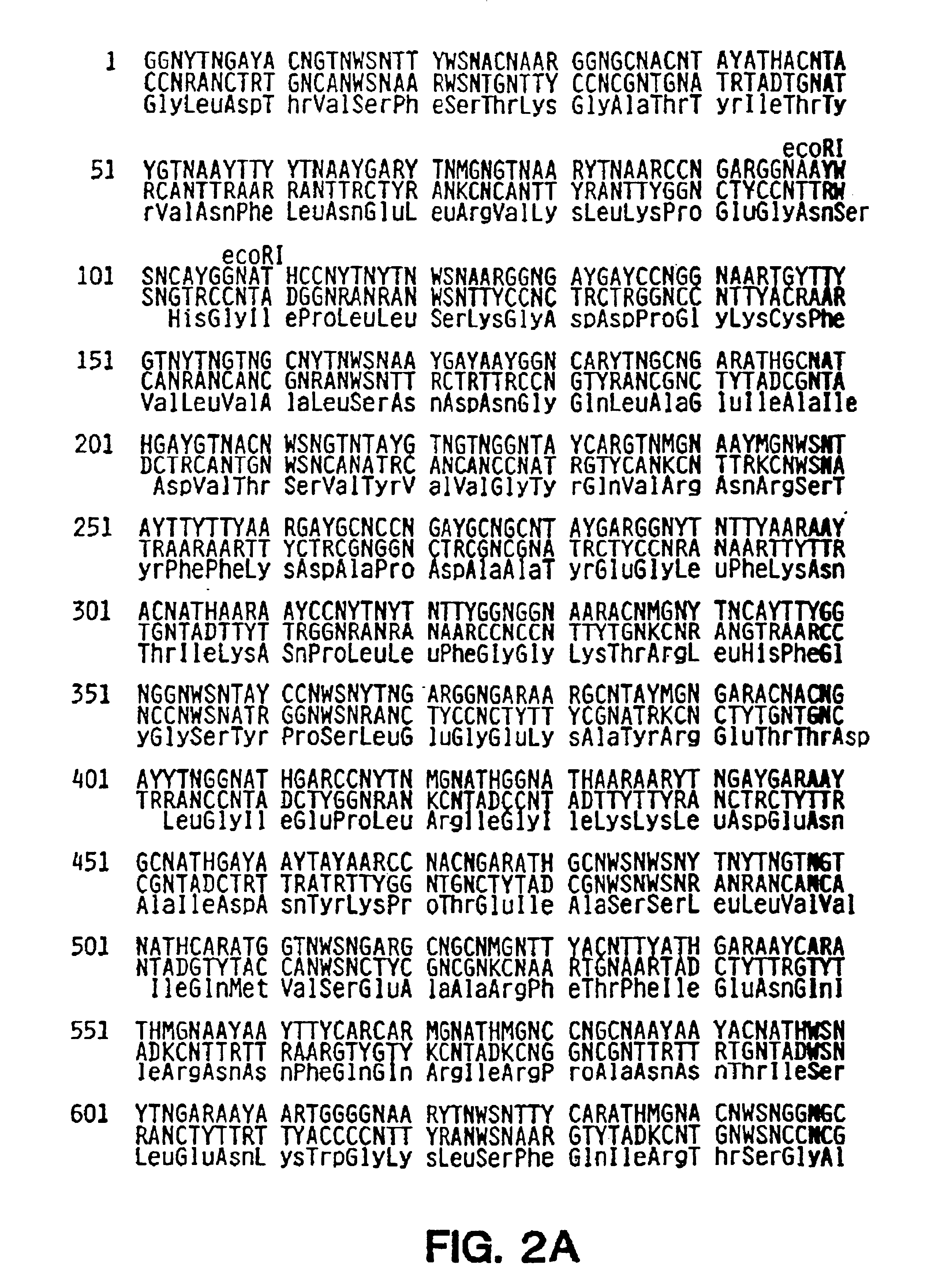 Protein sequence of the plant toxin gelonin