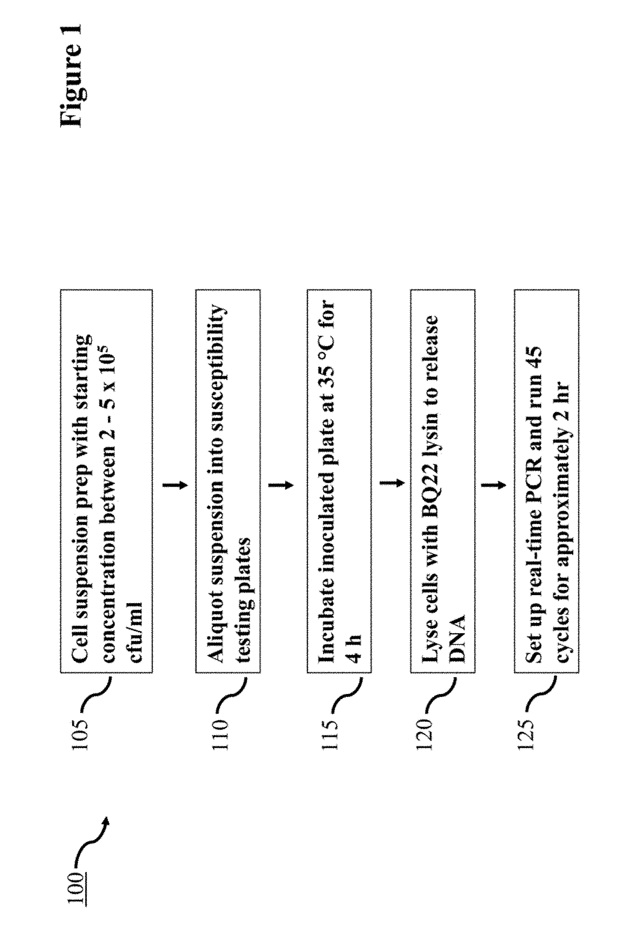 Lysin Agent and Method of Use for Diagnostic Testing