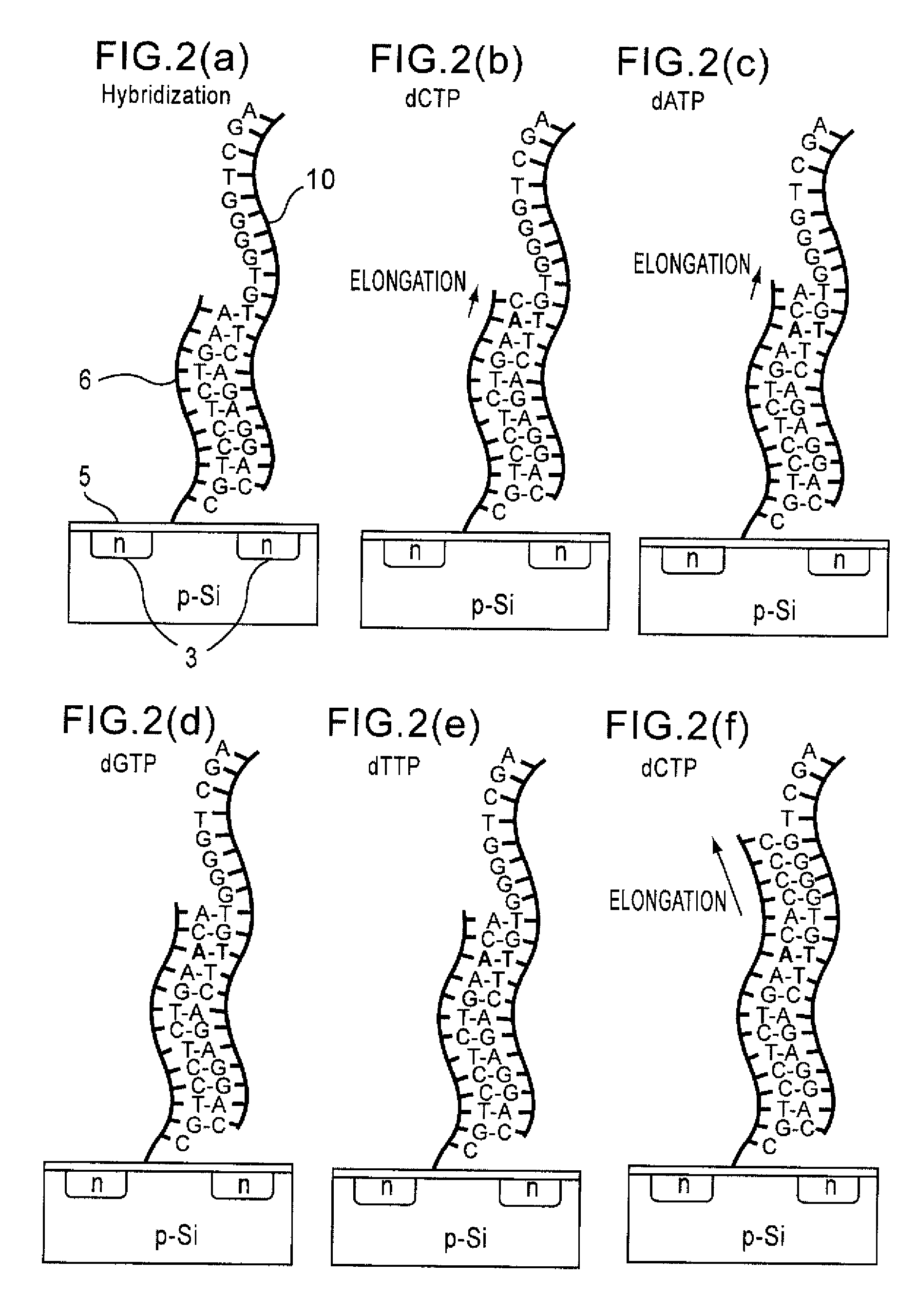 Method of Analyzing Dna Sequence Using Field-Effect Device, and Base Sequence Analyzer